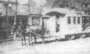 The mule line (175 Years of Memories)