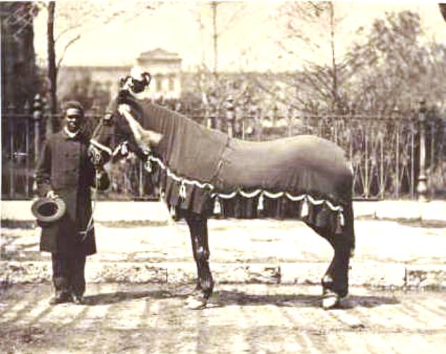 Rev. Henry Brown with 'Old Bob,' Abraham Lincoln's horse