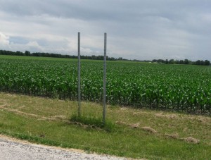 Lindbergh landed about 275 yards from the marker originally attached to these posts, which are on the south side of Irwin Bridge Road. (SCHS)