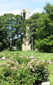 Portion of Rose Garden with carillon in background (SCHS photo)