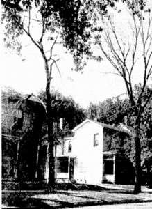 Elms in the 600 block of South Seventh Street, 1946 (courtesy SJ-R)