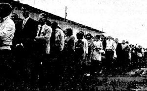 Prospective evening students line up to register at "Plywood U" in September 1967 (courtesy State Journal-Register)
