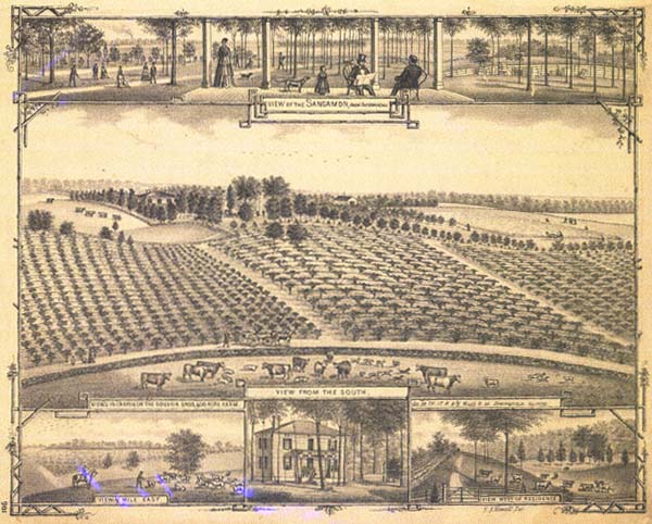 The prosperous Emanuel Gouveia farm north of Springfield (1874)