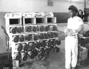 Loading shells into cartons on Line A (The Voice of Sangamon)