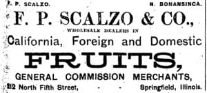 1-f-p-scalzo-co-advert%2c-isr%2c-august-31%2c-1890-p-13-copy