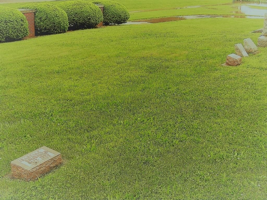The headstones of Isabelle and (background) Doran Brubaker lie almost 20 feet apart, separated by the unmarked graves of their children who died young, at Pleasant Hill Cemetery (SCHS)