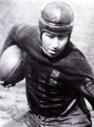 Dutch Sternaman as a Bear (Wikipedia)